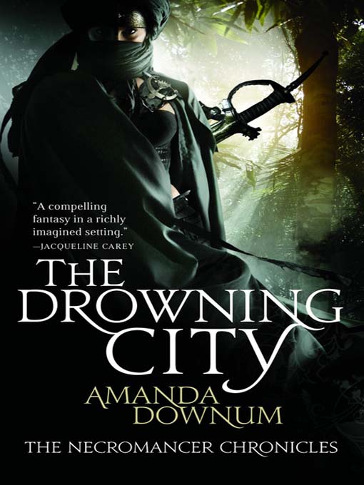 Title details for The Drowning City by Amanda Downum - Available